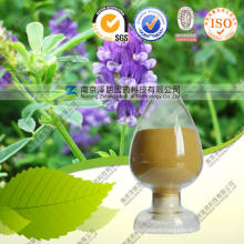 High Quality 100% Natural Rosmarinus Officinalis Extract--Carnosol